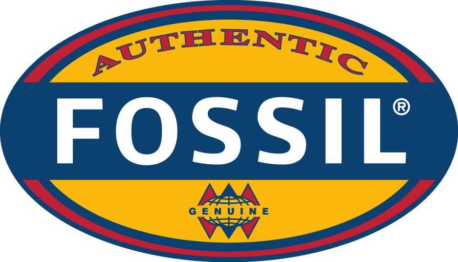 Explore Our New Fall Collection With Vintage Inspired - Fossil Logo (937x536), Png Download