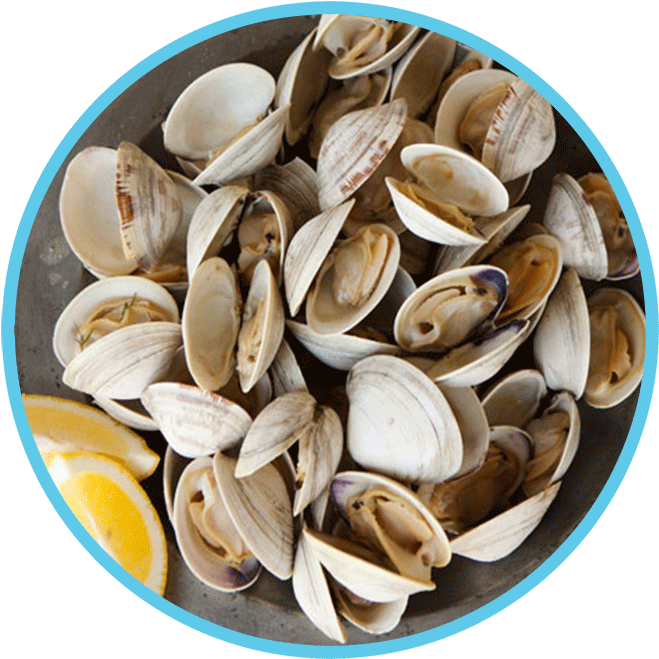 Clam Dish Winner - Wendake, Quebec (700x691), Png Download