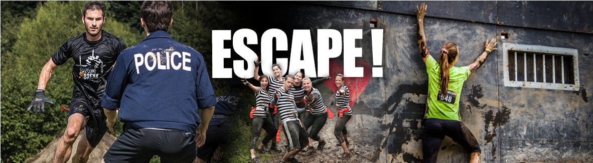 Android (1181x725), Png Download