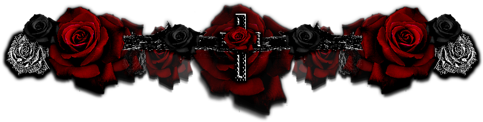 Sticker 5342085 47164219 Sticker 5342085 47164220 Sticker - Garden Roses (949x264), Png Download