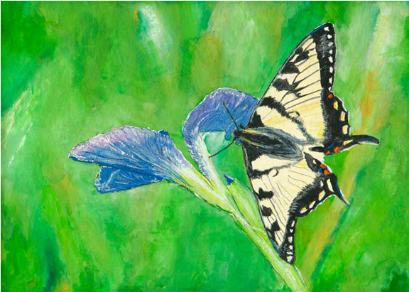 Canadian Tiger Swallowtail - Painting (575x575), Png Download