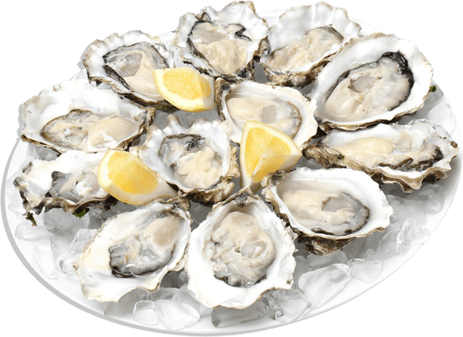Food - Seafood - Plate Of Oysters Png (662x482), Png Download