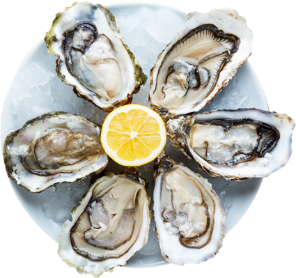 Oysters Png - Huitres En Anglais (444x420), Png Download