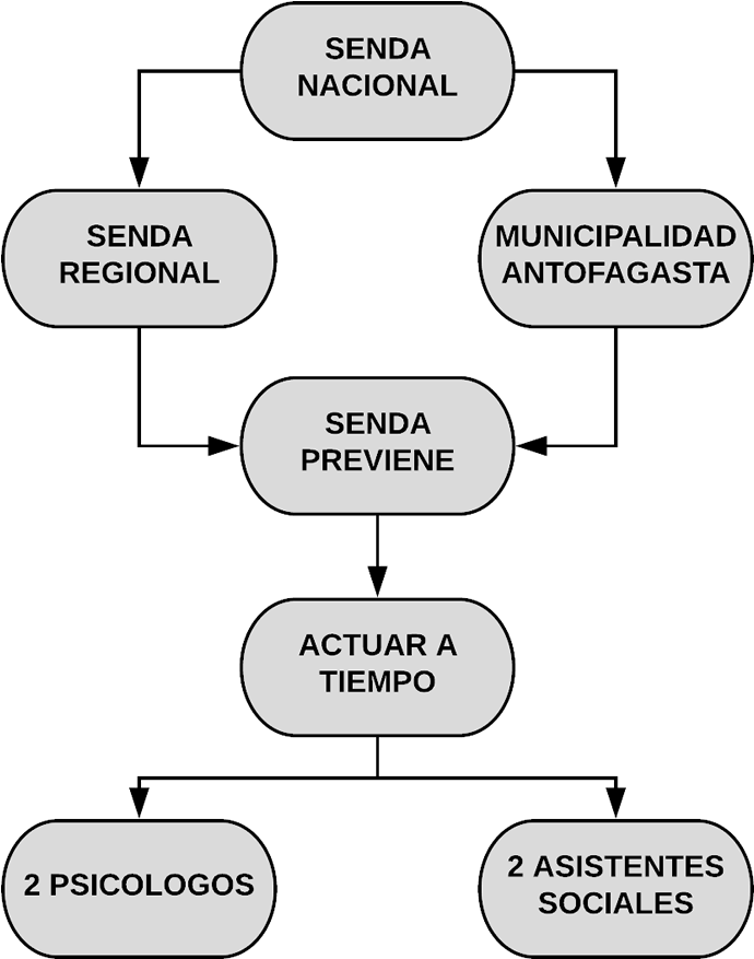 Organigrama Actuar A Tiempo - Organizational Chart (810x997), Png Download