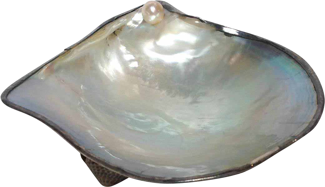 Pearl Oyster Shell Dish With Sterling Japanese From - Pearl Oyster Shells (1040x1040), Png Download