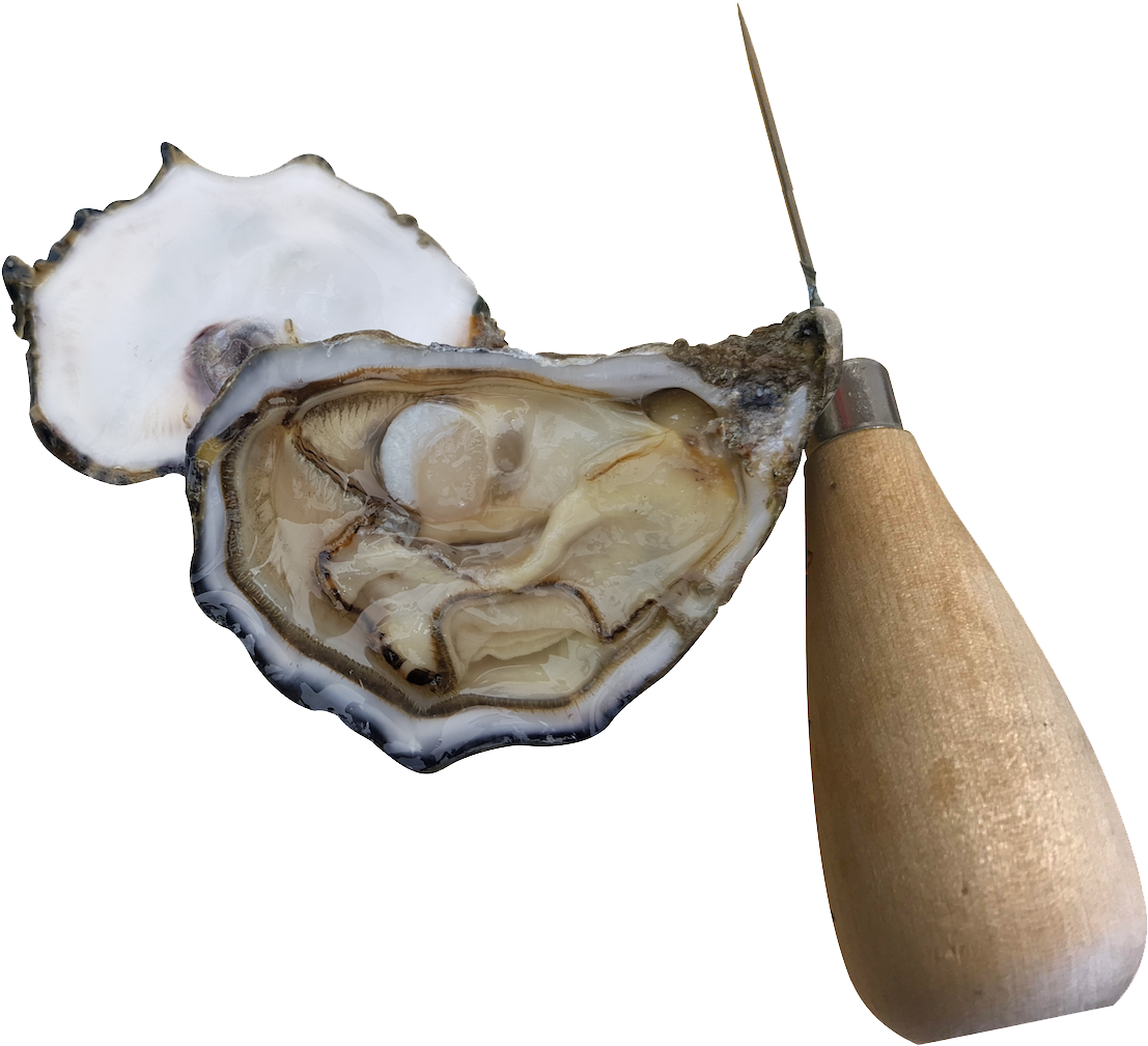 Farming Systems - Shell (1440x1080), Png Download