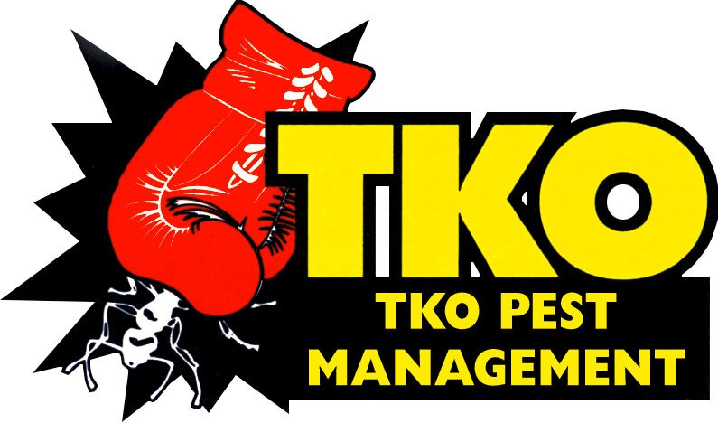 Tko Pest Management (795x468), Png Download