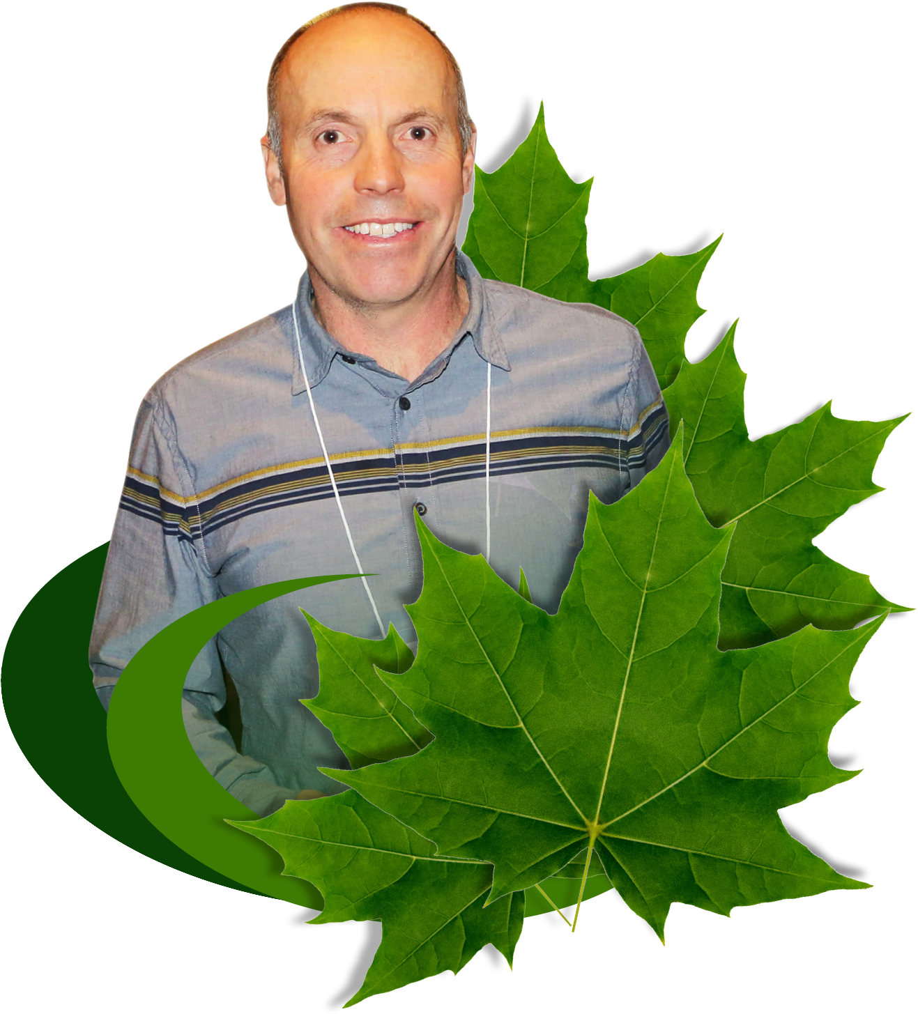 A Message From Allan Arthur, Our President - Maple Leaf (1600x1600), Png Download