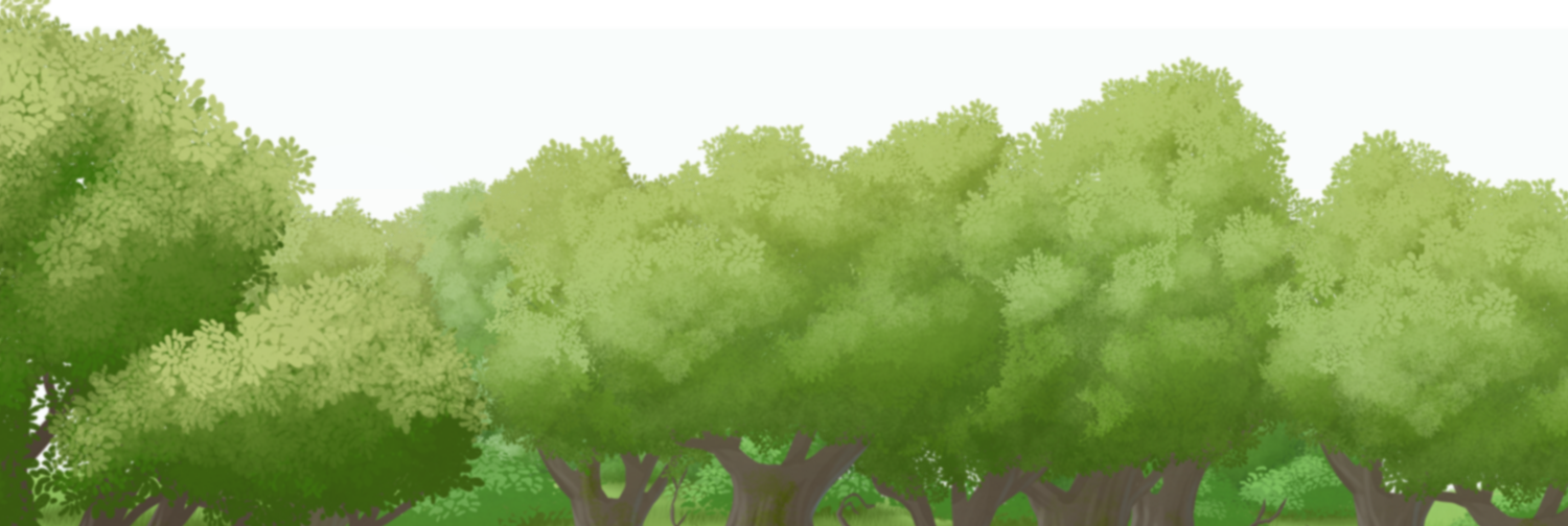 What's Mebula - Tree (1500x504), Png Download