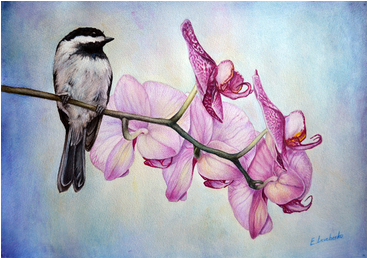The Bird With Orchids - Northern Grey Shrike (366x366), Png Download