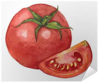 Tomate Gezeichnet (400x400), Png Download