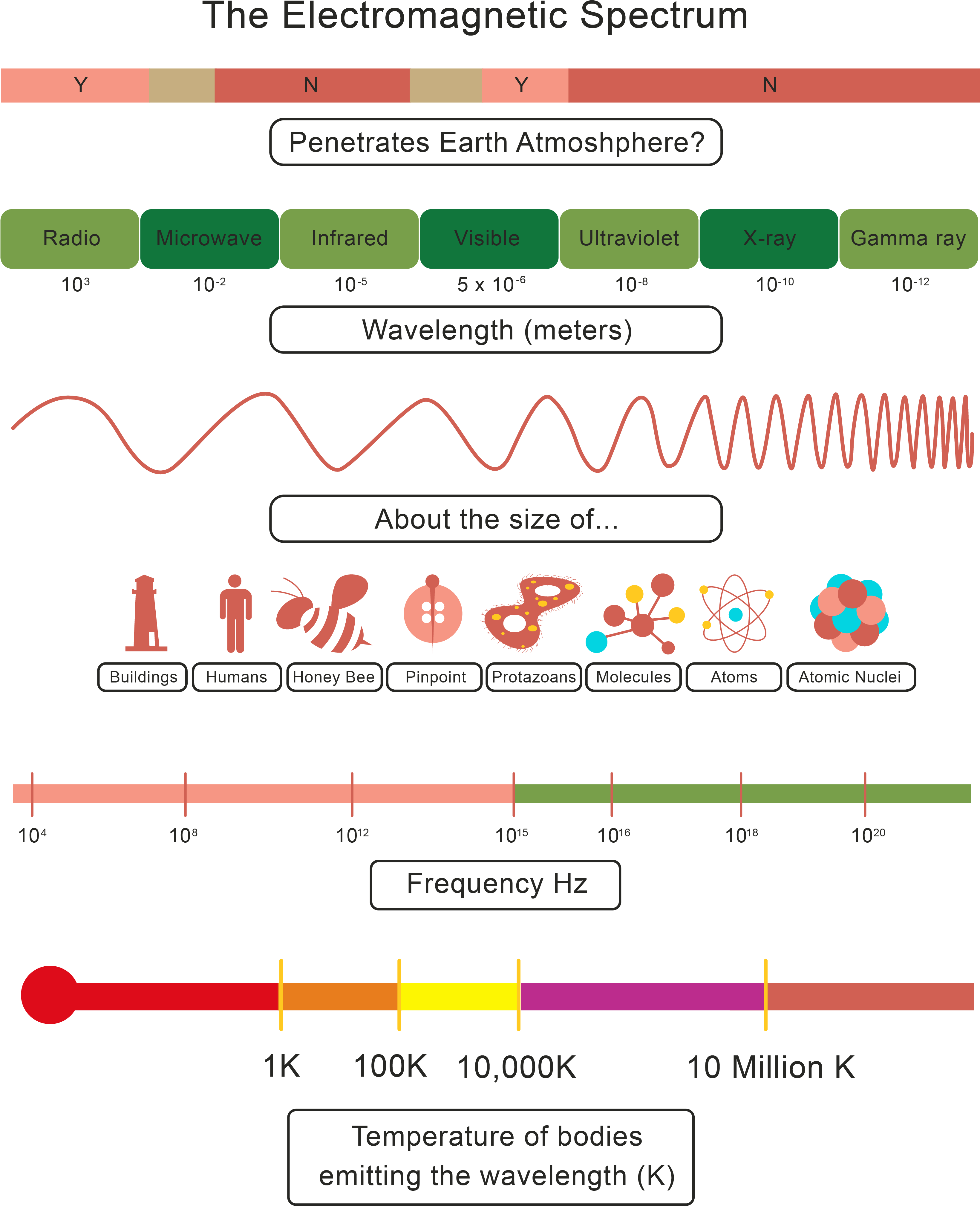 Worksheet Waves And Electromagnetic Spectrum Worksheet - Electromagnetic Spectrum Worksheet (3545x4268), Png Download