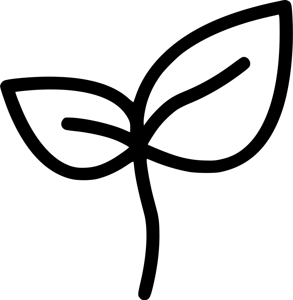 Nature Green Sprout Plant Comments - Sprout Icon Png (956x980), Png Download