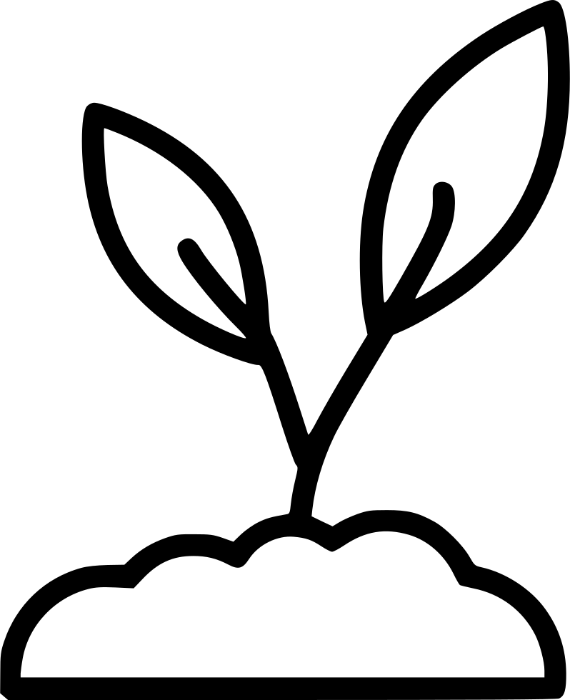 Planting Clipart Sprout - Sprouting (798x980), Png Download