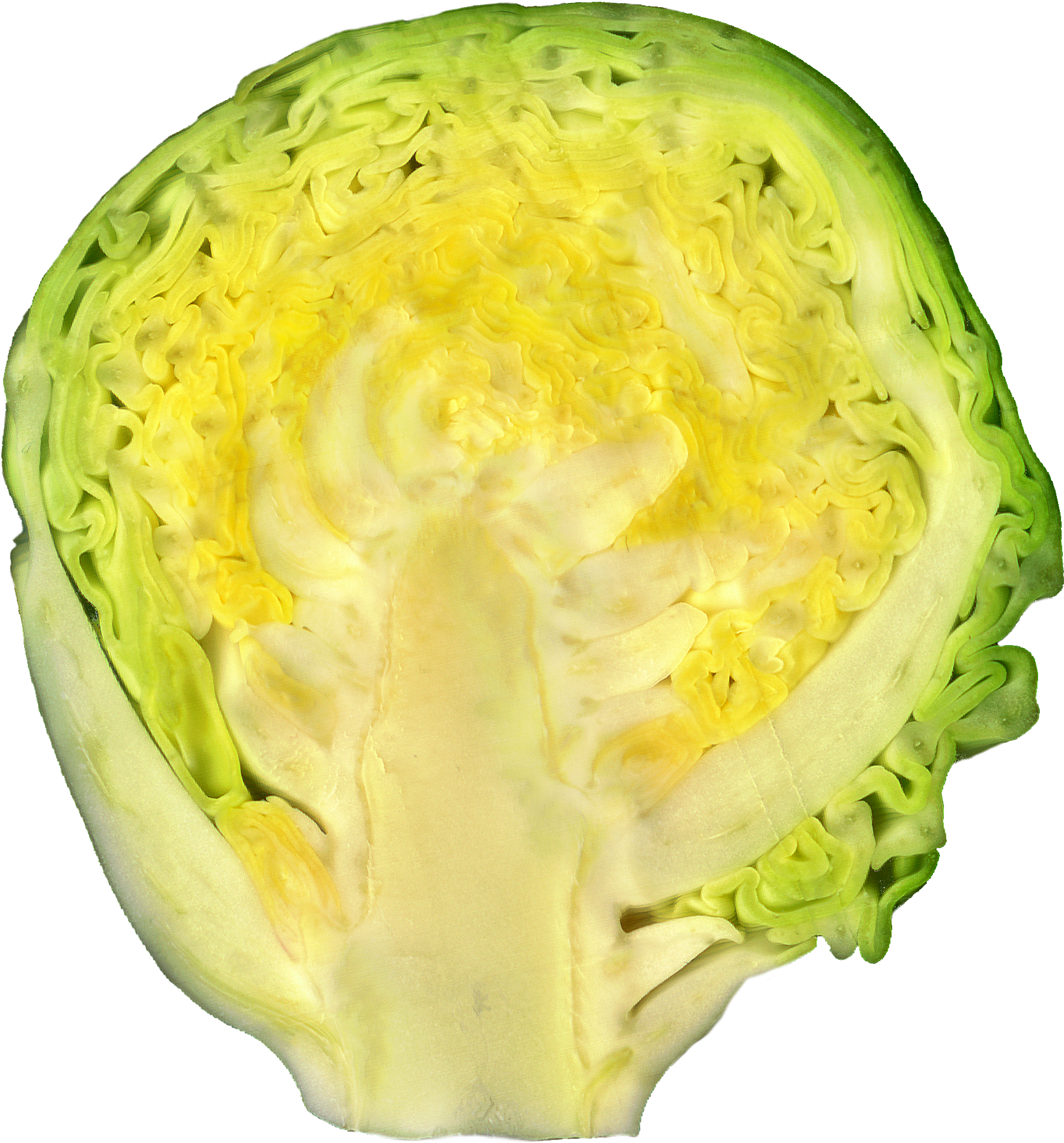 Brussel Sprout - Капуста В Разрезе (1892x2048), Png Download