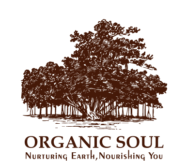 Organic Soul (398x355), Png Download