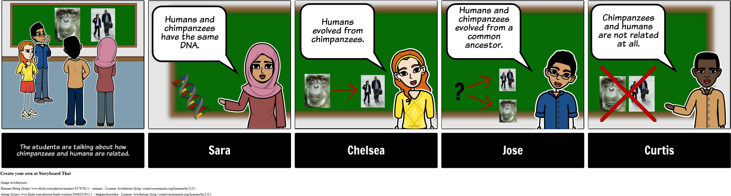 Discussion Storyboard - Hs - Evolution - Cartoon (2512x700), Png Download
