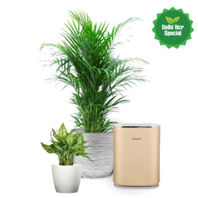 Delray Plants (450x450), Png Download