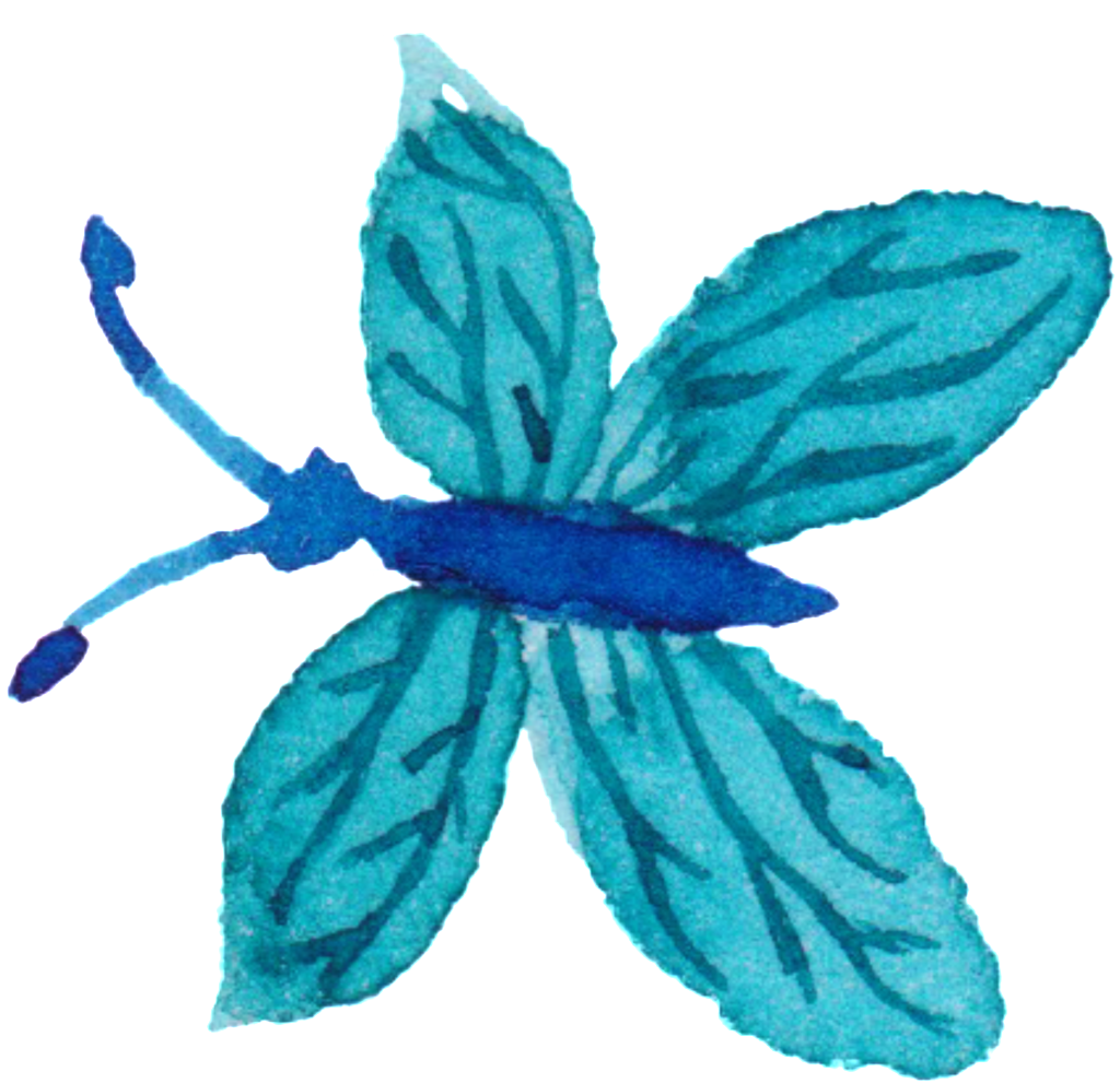 Mariposa Adorno Png Para Acuarela Volando - My Notebook: Unlined Notebook - Large (8.5 X 11 Inches) (1024x991), Png Download