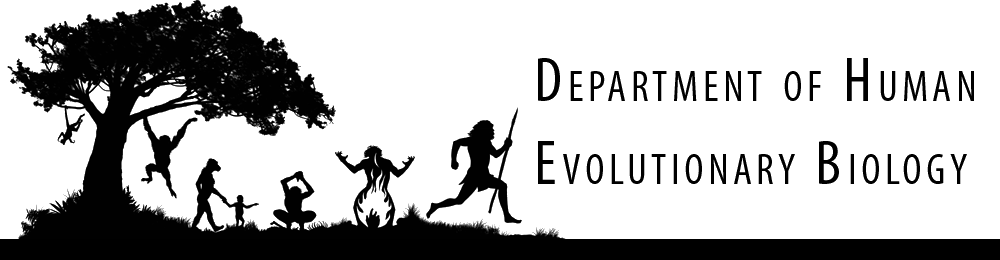 Department Of Human Evolutionary Biology - Human Evolutionary Biology Harvard (1000x260), Png Download