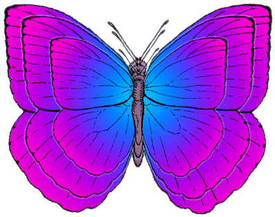 Cartoon Butterflies (424x322), Png Download