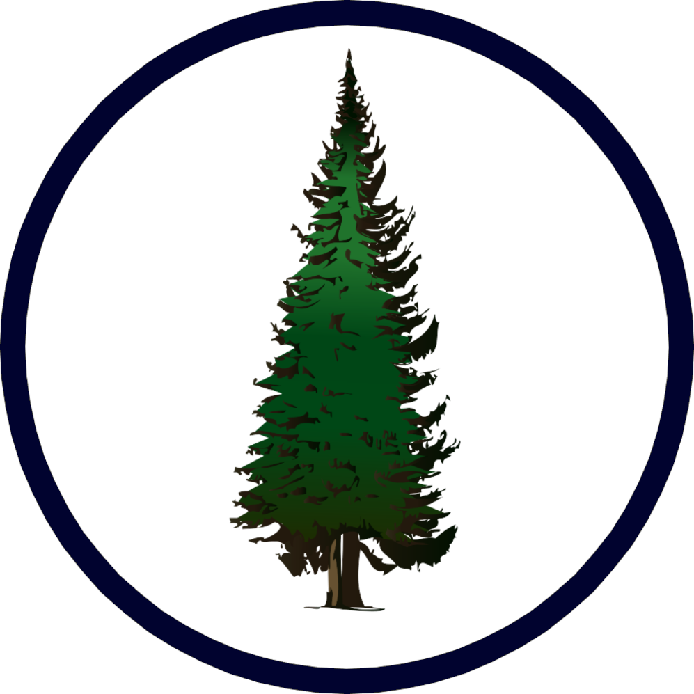 Contact Evergreen - Pine Tree Clip Art (997x997), Png Download