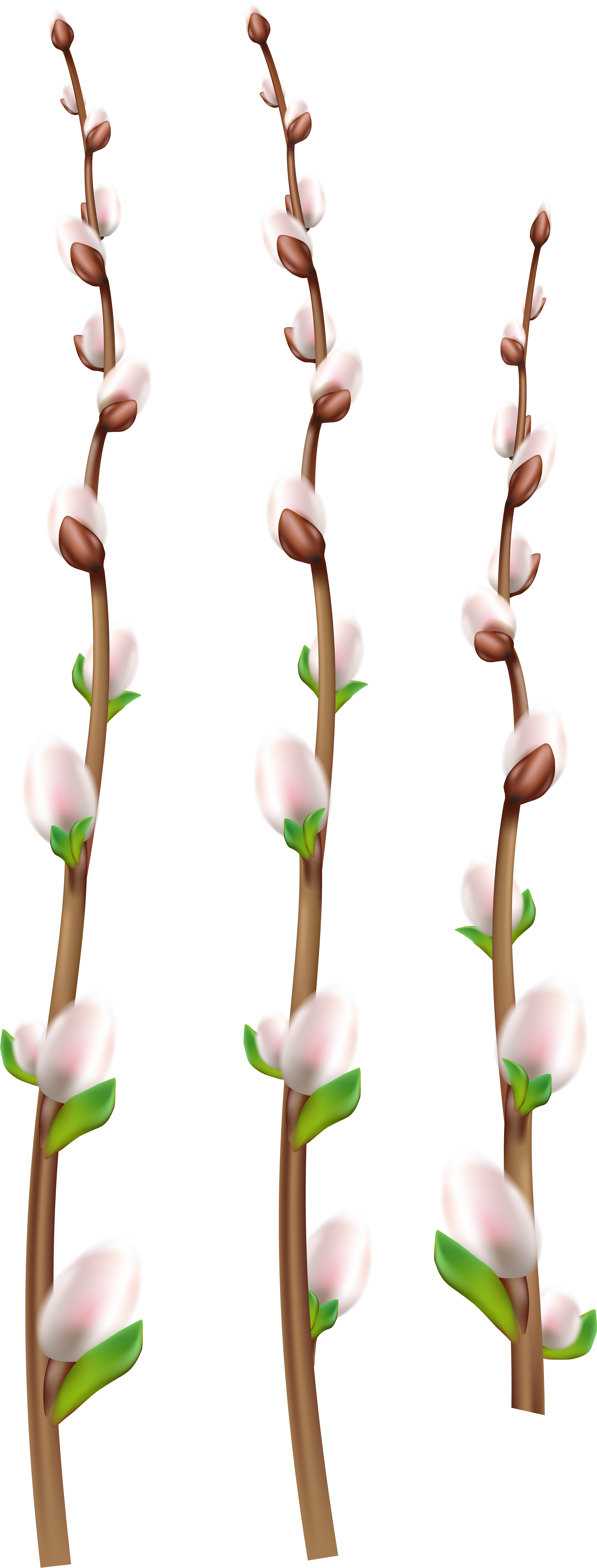 Portable Network Graphics (3378x8000), Png Download