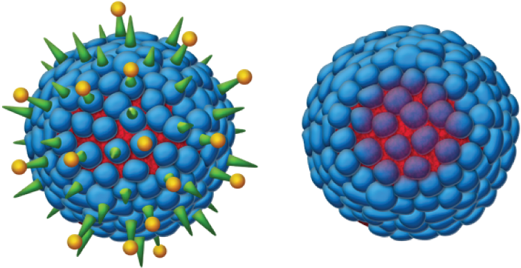 Second-generation Hepatitis B Vaccine - Hepatitis B Virus Png (800x403), Png Download
