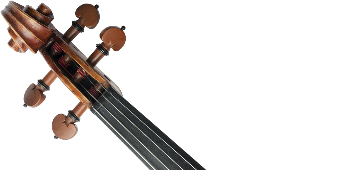 North Carolina Chamber Orchestra - Viola (1200x578), Png Download