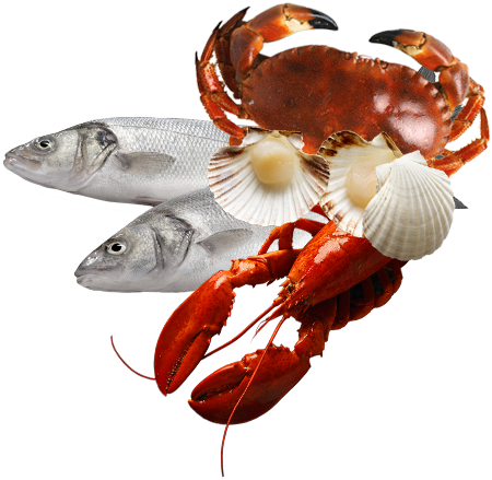 Seafood Png - Fish And Seafood Png (450x439), Png Download