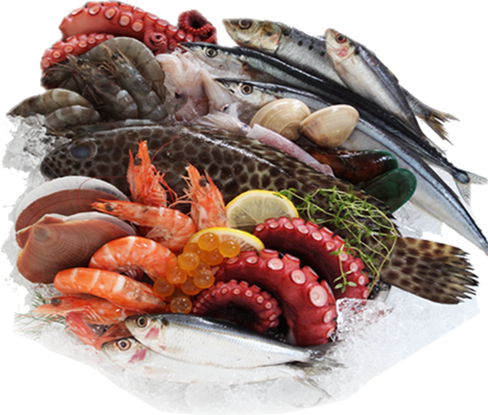 Sea Food Images Png (2043x1387), Png Download