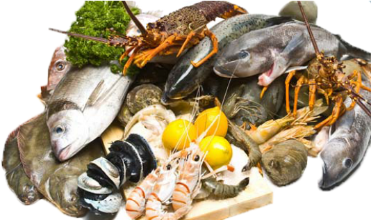 5 Fish Seafoods Skin1 - Sea Foods Png (600x315), Png Download