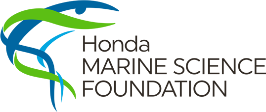 The Honda Marine Science Foundation Is An Initiative - Honda Marine Science Foundation (538x228), Png Download