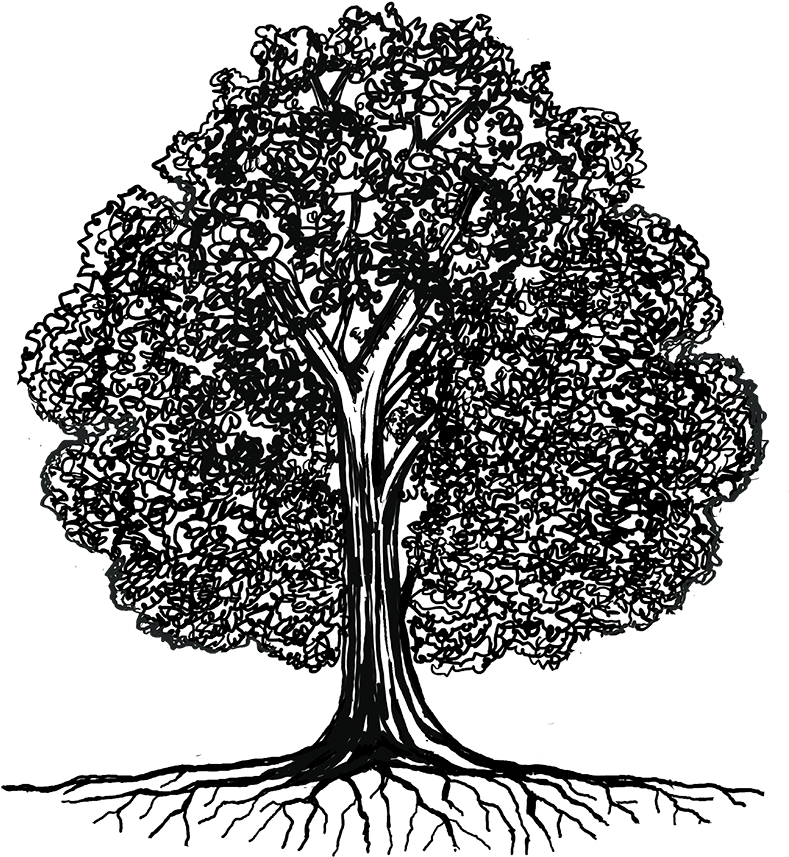 Media Library - Illustration (800x887), Png Download