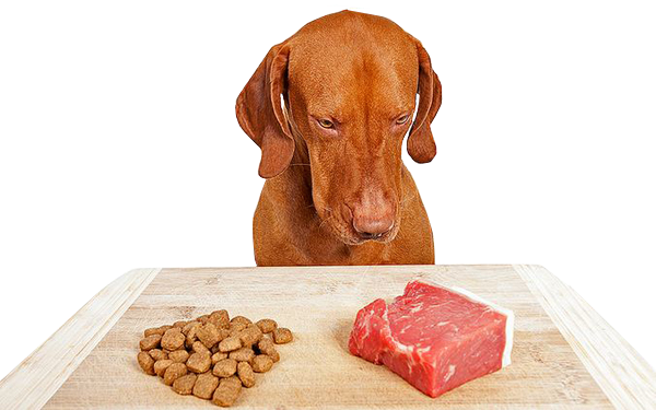 Benefit - Raw Food Diet Dog (600x375), Png Download