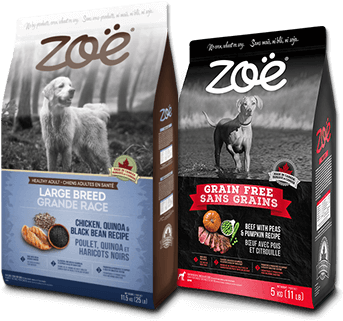 Pet Food In Canada (370x332), Png Download