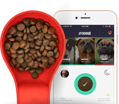 Dog Food With A Side Of Tech - Happy Boxer Puppy Dog Note Cards (463x405), Png Download