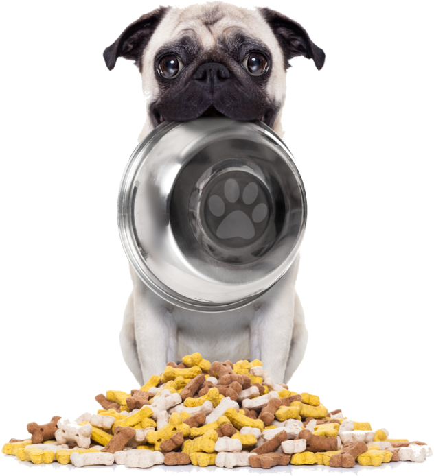 Largest Selection Of Pet Food - Bad To The Bone By Linda O Johnston (640x853), Png Download