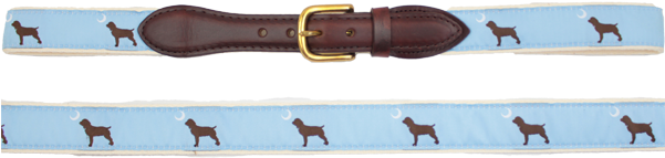 Sale - Boykin Spaniel (600x600), Png Download