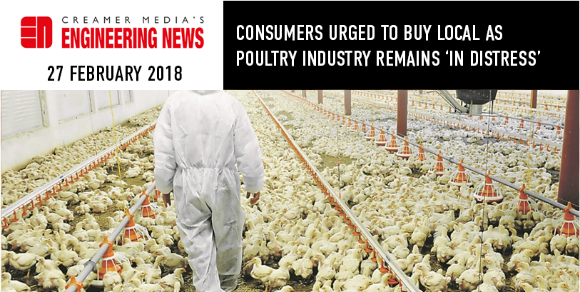 Consumers Urged To Buy Local As Poultry Industry Remains - Industrial Poultry Farming Nigeria (900x469), Png Download