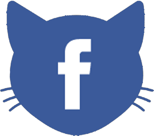 Follow Us Facebook - Cabeza De Gato Dibujo Png (530x480), Png Download