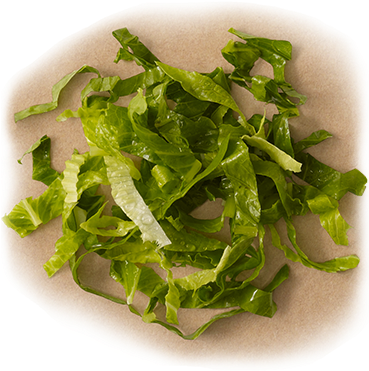 Romaine Lettuce - Romaine Lettuce Chipotle (408x450), Png Download