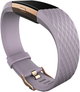 Charge2 Se Dramatic Lavender 72dpi - Charge 2 Rose Gold (500x500), Png Download