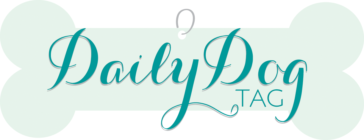 Daily Dog Tag - Jpeg (1223x470), Png Download