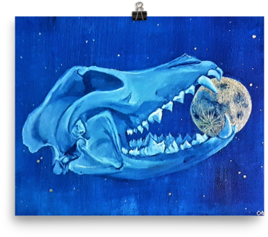 Lupus Calvariae Locus Print - Still Life (600x600), Png Download