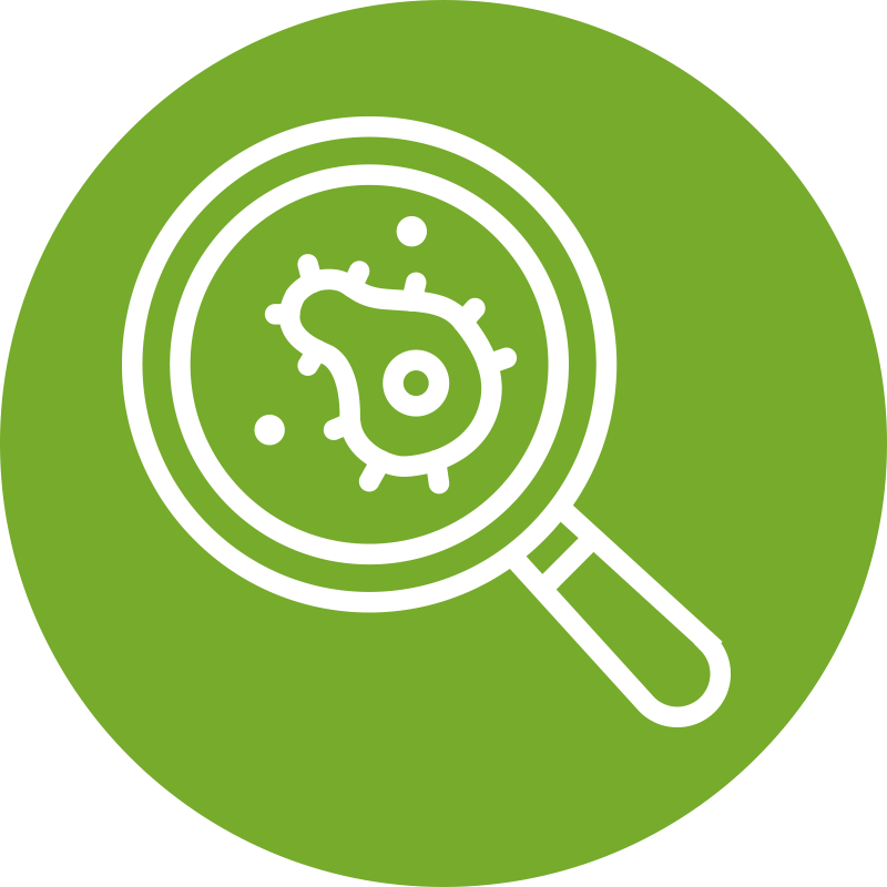 Send Toxic Backlinks To The Google Disavow Tool - Circle (800x800), Png Download