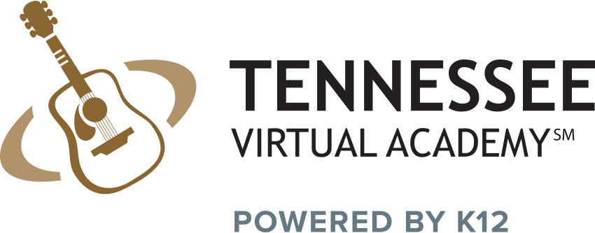 Texas Virtual Academy (850x333), Png Download