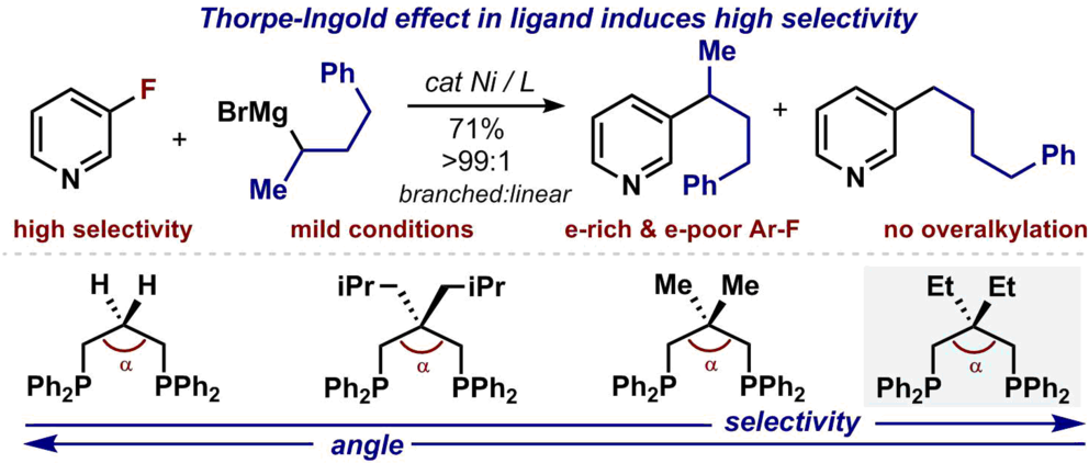Thorpe Ingold Effect For Branch Selective Alkylation - Diagram (1000x431), Png Download
