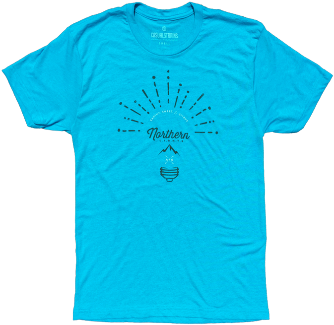 Northern Lights Casual Strain - Sky Blue Ralph Lauren T Shirt (700x655), Png Download