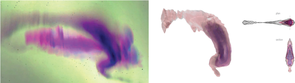 This Project Began With A Fifteen Second Film Clip (1000x276), Png Download